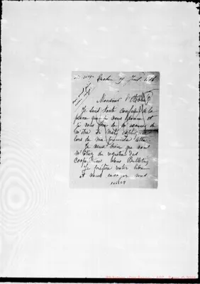 Fotogramma E 8