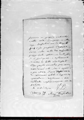 Fotogramma D 8