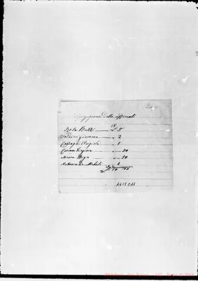 Fotogramma C 11