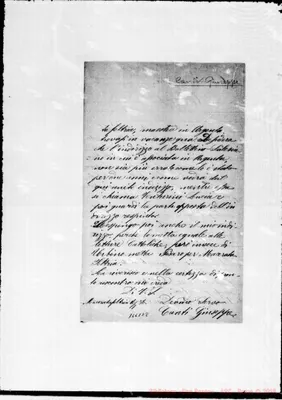 Fotogramma E 8
