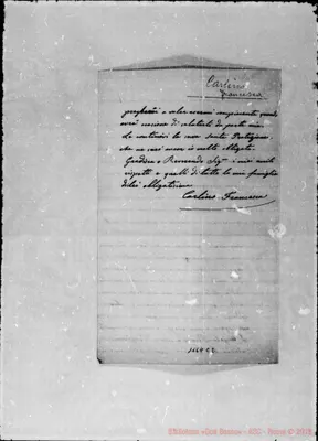 Fotogramma C 2