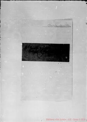 Fotogramma D 10