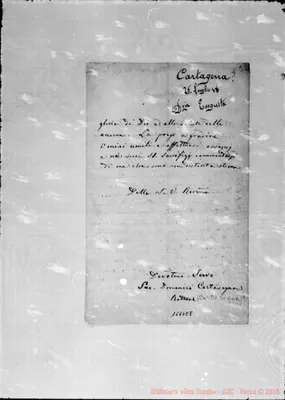 Fotogramma E 8