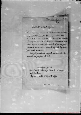 Fotogramma D 8