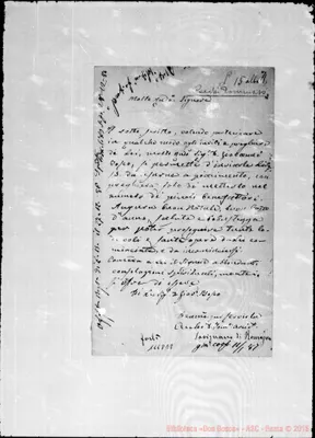 Fotogramma E 8