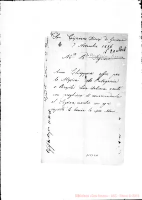 Fotogramma C 11