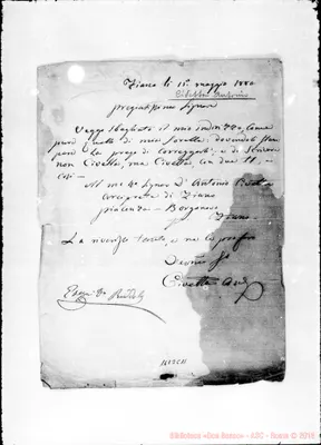 Fotogramma C 11