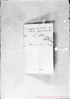 Fotogramma D 4