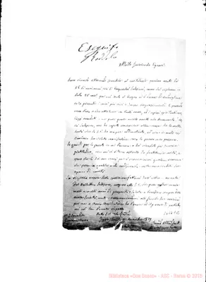 Fotogramma E 12