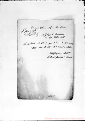 Fotogramma D 11