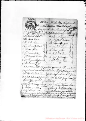 Fotogramma D 11