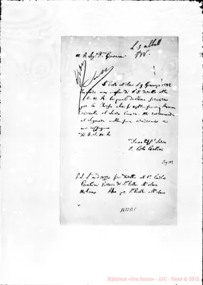 Fotogramma B 5