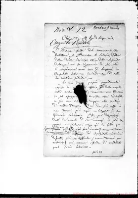 Fotogramma D 3