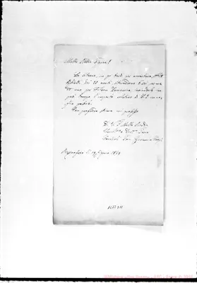 Fotogramma D 11