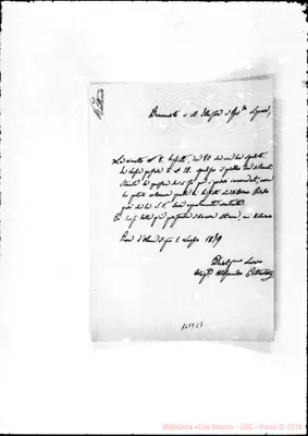 Fotogramma C 7