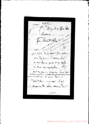 Fotogramma D 11