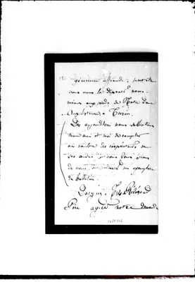 Fotogramma D 12