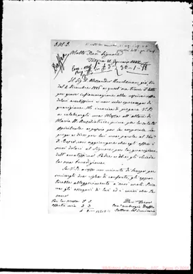 Fotogramma D 11