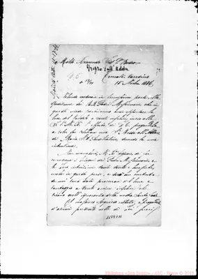 Fotogramma C 11