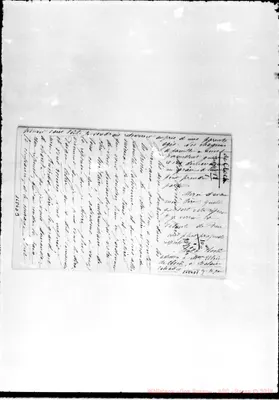 Fotogramma D 7