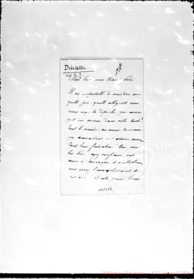 Fotogramma E 8
