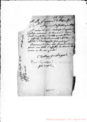 Fotogramma C 11