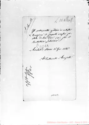 Fotogramma D 12