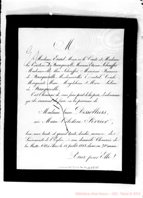 Fotogramma D 8