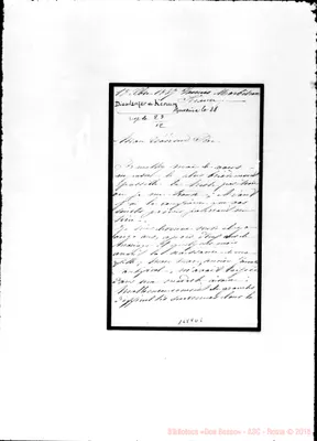 Fotogramma D 5