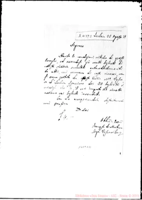 Fotogramma D 11