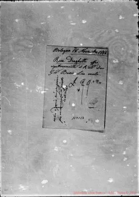 Fotogramma C 7