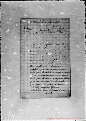 Fotogramma D 9