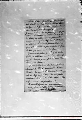 Fotogramma E 8