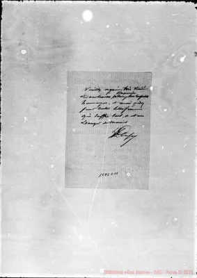 Fotogramma C 11