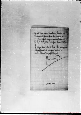 Fotogramma D 11