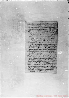 Fotogramma C 2