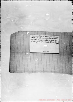 Fotogramma B 10