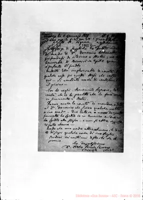 Fotogramma D 11