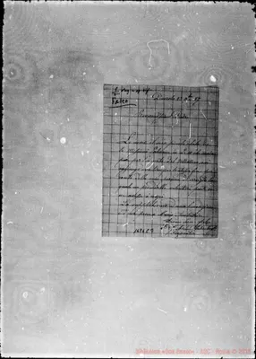 Fotogramma C 3