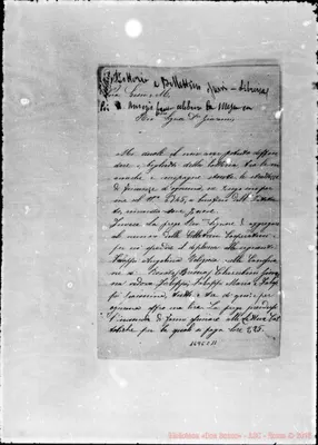 Fotogramma C 11