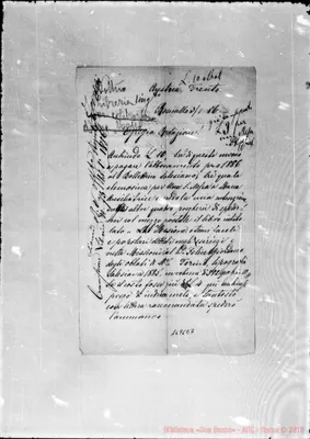 Fotogramma E 7