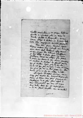 Fotogramma C 11