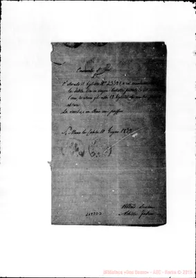 Fotogramma D 3