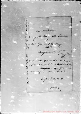 Fotogramma D 8