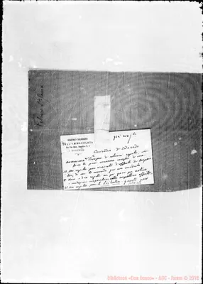 Fotogramma B 6