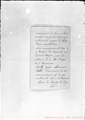 Fotogramma C 11