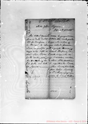 Fotogramma D 5