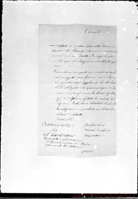 Fotogramma D 12