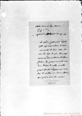 Fotogramma C 11