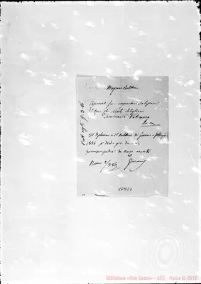 Fotogramma E 8
